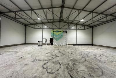 Hala de Depozitare de Inchiriat | Oxigenului | Cernica | Pantelimon - 2