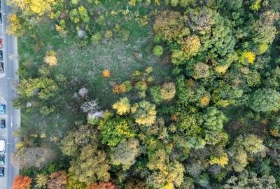 Vanzare Teren 1,800mp Vacaresti-Tinetretului - 4