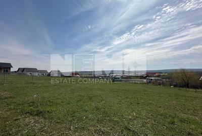 Teren Construcții intravilan de 1000 mp, în Șcheia - 2