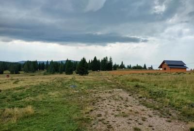 Teren de 1000 mp, în Beliș - 10