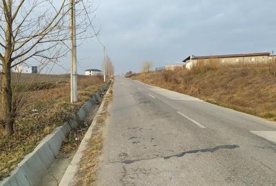 Teren Construcții intravilan de 10000 mp, în Pielești - 2
