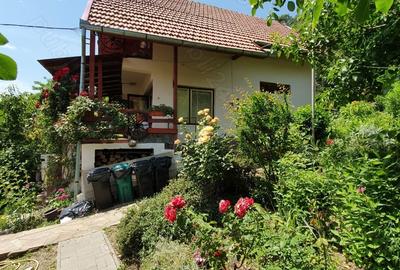 Casă cu 6 camere cu Teren 1000 Mp în Eșelnița - 9