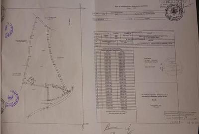 Teren Construcții intravilan de 6966 mp, în Bran - 38