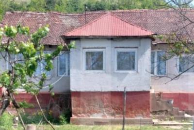 Blitz va ofera spre vanzare casa cu teren generos in Covas? - 2