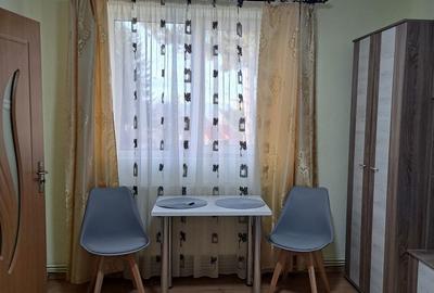 Apartament cu 2 camere nedecomandat în Central - 8