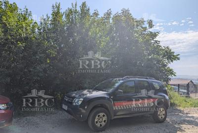 Teren agricol intravilan de 4600 mp, în Iris