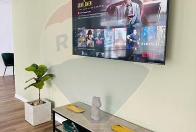 Proprietate specială, de 280 mp, în Almaș - 30