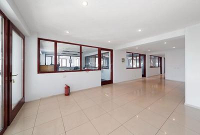 Sediu Firma - Showroom - 26