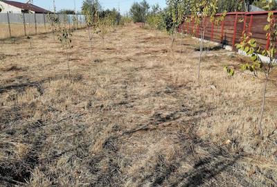 Casă cu 4 camere în Buzoești - 2