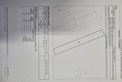 Teren de vanzare intravilan Cornesti Dambovita 2.440 mp - 7