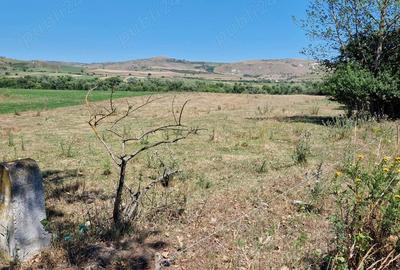 Teren de 2800 mp, în Iara