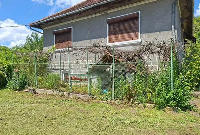 Casă cu 3 camere în Tomești - 4