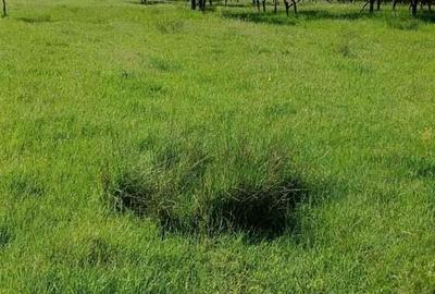 Teren în Central - 2