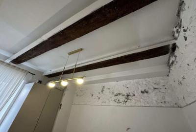 Apartament cu 2 camere decomandat în Dosu Bricii - 8