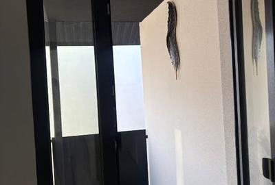 Vila premium Tineretului ( amfiteatrul ) metrou Brancoveanu - 6