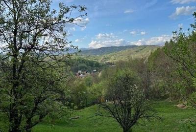 Teren de 4300 mp, în Breaza - 8