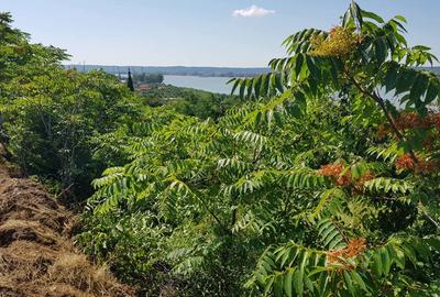 Teren de 1800 mp, în Schela - 9
