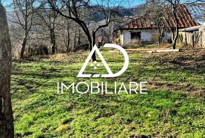 Casă cu 4 camere cu Teren 1748 Mp în Cernișoara - 7