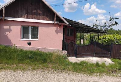 Casă cu 1 camere cu Teren 900 Mp în Dezmir - 2