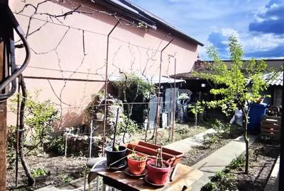 Casă cu 3 camere cu Teren 279 Mp în Brestei - 2