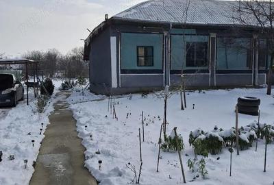 Casă cu 3 camere cu Teren 2155 Mp în Traian - 3