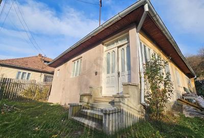 Casă individuală cu 5 camere cu Teren 1116 Mp în Valea Doftanei - 1