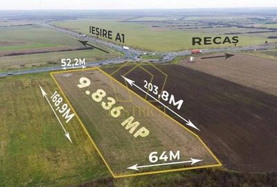 Teren agricol extravilan de 9836 mp, în Remetea Mare