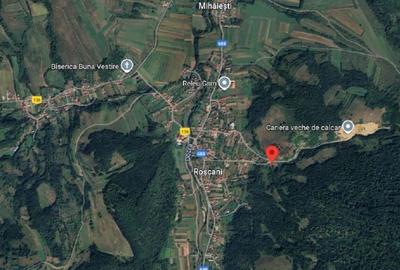 Teren extravilan-Loc. Roscani, comuna Dobra, judetul Hune... - 3