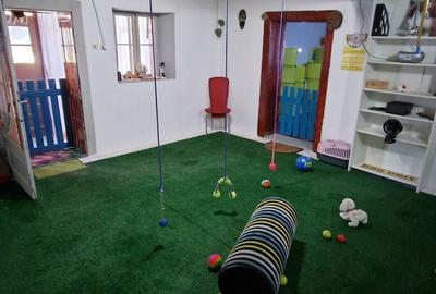 Casă cu 3 camere în Lotrioara - 8