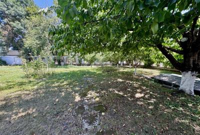 Vila Manastirea Snagov - 5