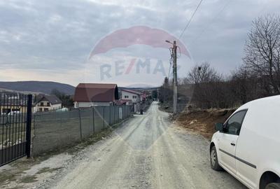 Teren Construcții intravilan de 2307 mp, în Sălicea - 4