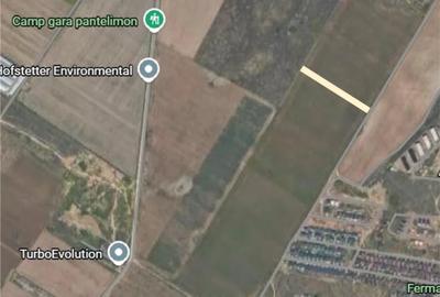 Dobroesti Teren 5.000 mp | Deschidere 20 ml | Urbanism de Informare - 1