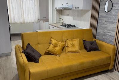 Apartament cu 2 camere semidecomandat, mobilat în Palat - 2