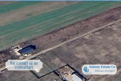 Teren de 500 mp, în Paleu - 1