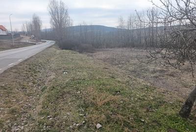 Teren Construcții intravilan de 675 mp, în Ciugud - 2