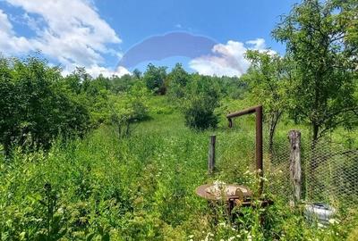 Teren Construcții intravilan de 3551 mp, în Poiana Copăceni - 9