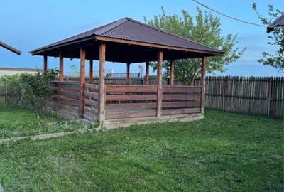 Casă cu 4 camere în Radu Negru - 3