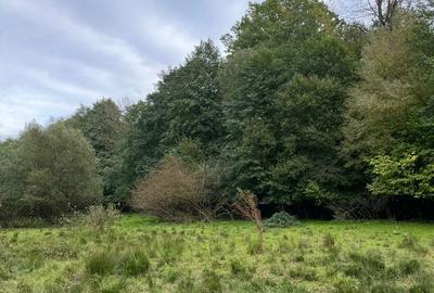 Casă cu 3 camere în Vârfurile - 3