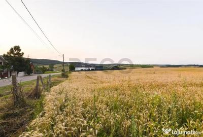 Teren de 1000 mp, în Lăzăreni - 5