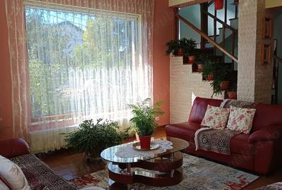 Casă cu 5 camere cu Teren 698 Mp în Blejoi - 9