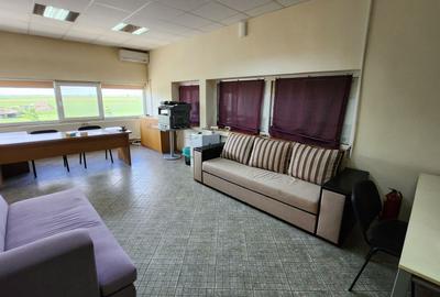 Spatiu industrial productie/ depozitare, Timiș - 23