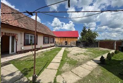 Casă cu Teren 1800 Mp în Arpașu de Jos - 5