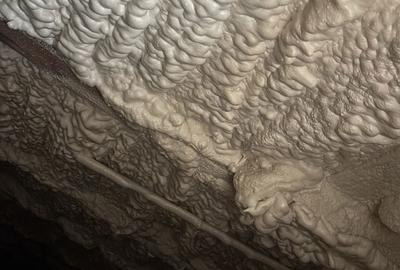 Casă cu 4 camere în Central - 2