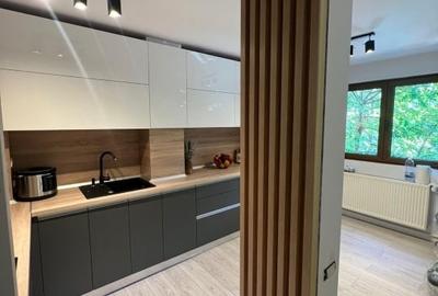 Apartament3 camere Titulescu- Pta Victoriei - 13