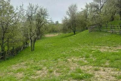 Teren de 3000 mp, în Trăisteni - 1