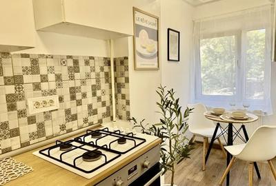 Garsonieră decomandată în Dristor - 4