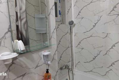 Apartament cu 2 camere, mobilat în Teiul Doamnei - 3