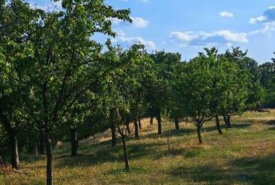 Spațiu comercial, în Central - 2