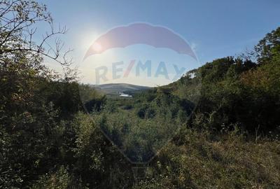 Teren cu parau | 50,000 mp | zona Caianu-Vama | la lizi... - 2