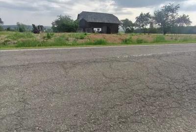 Casă cu 3 camere cu Teren 5000 Mp în Rădăuți - 7